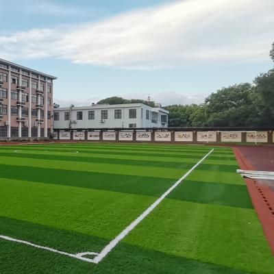 Soccer field turf